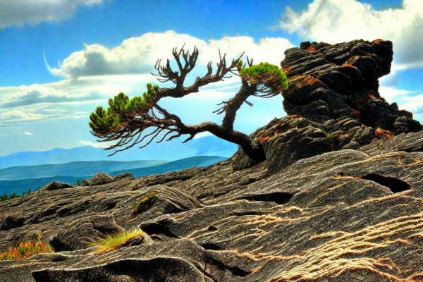 Photo du parc naturel de l'Etna