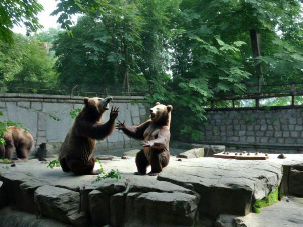 Photo du zoo de Kaliningrad