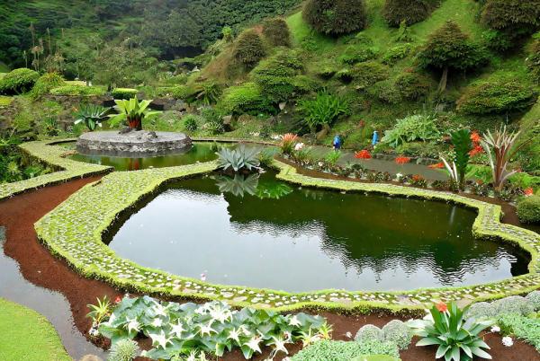 Photo du jardin botanique
