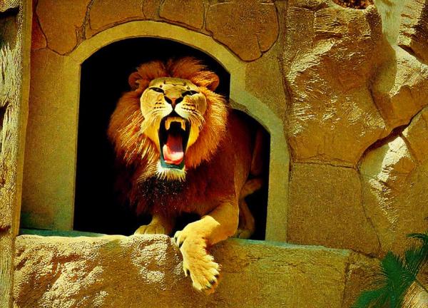 Photo du zoo de Tachkent
