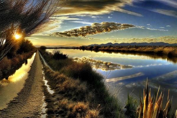 Albufera photo