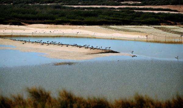 Parc Molentargus photo