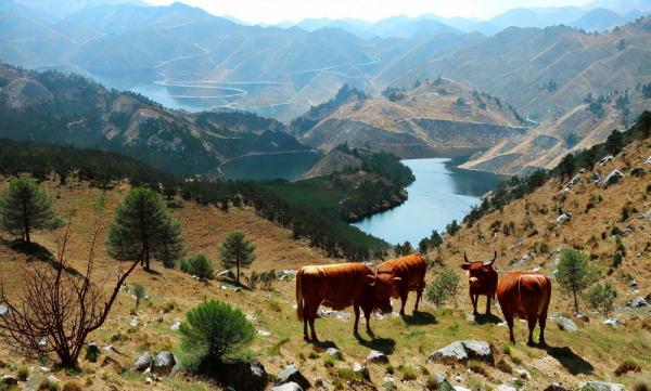 Photo de Peneda-Gerês
