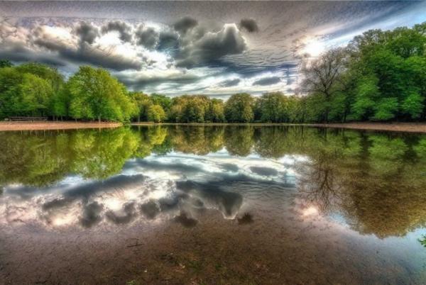 Photo du lac Black Park